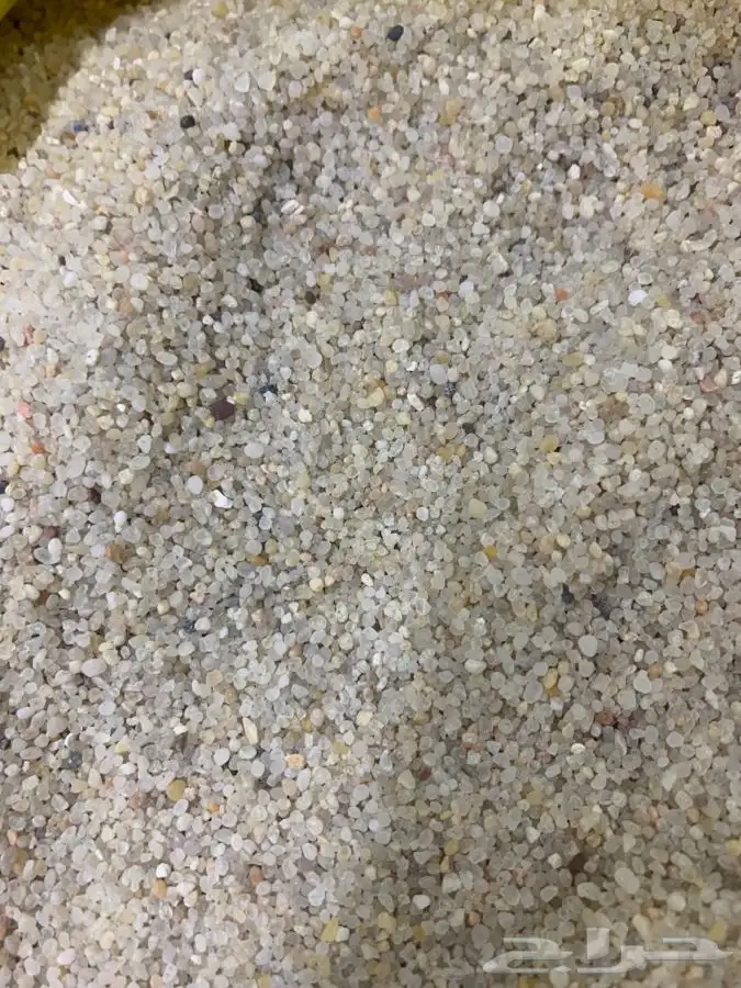رمل احواض سمك 3