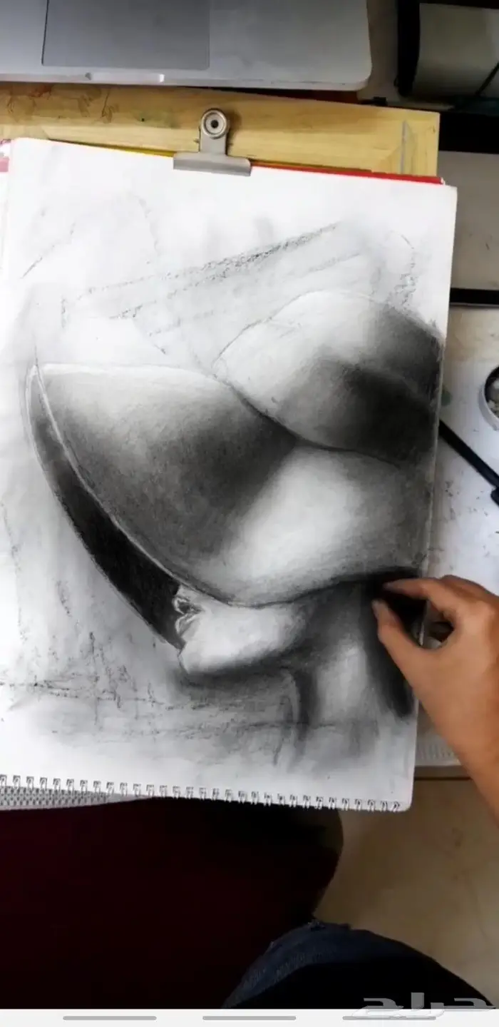 رسام محترف 2