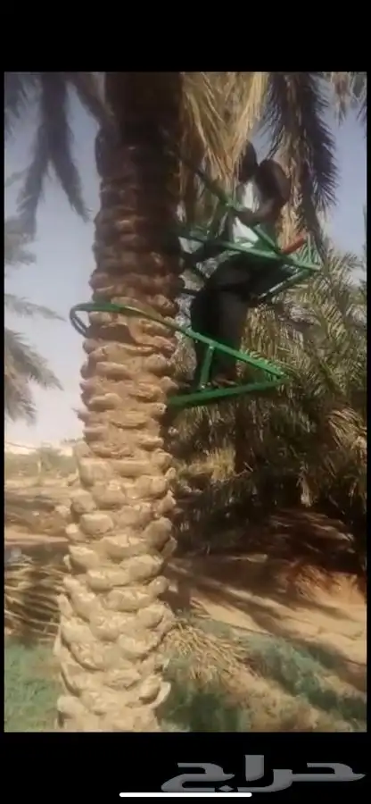 كر حديدي يمكنك صعود او طلوع النخيل 1