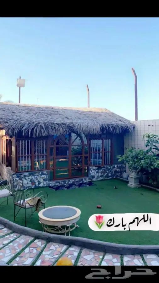 سعف نخل رولات السعف للاحواش والمظلات 9