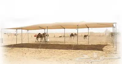 شراعات ماء وا مضلات حلال 9