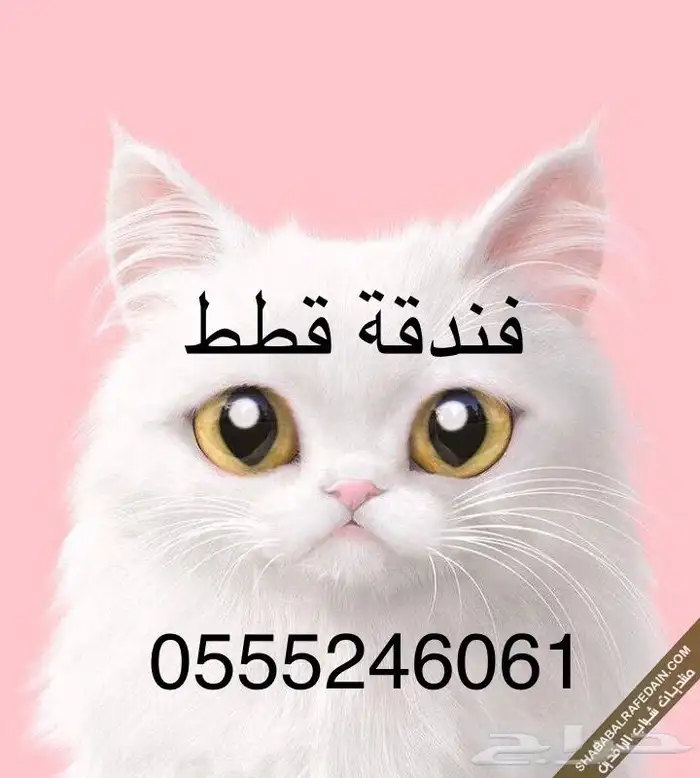 فندقة ابو الجوري للقطط والطيور المنزليه 1