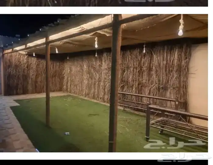 سعف نخل رولات السعف للاحواش والمظلات 1