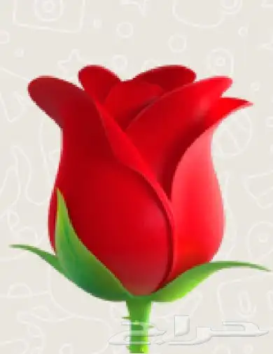 عقد الزواج الالكتروني 0