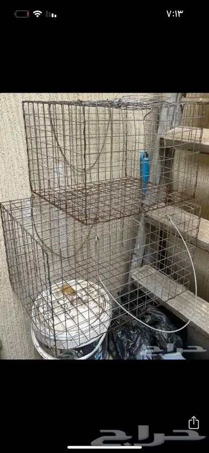 شبك طيور 0