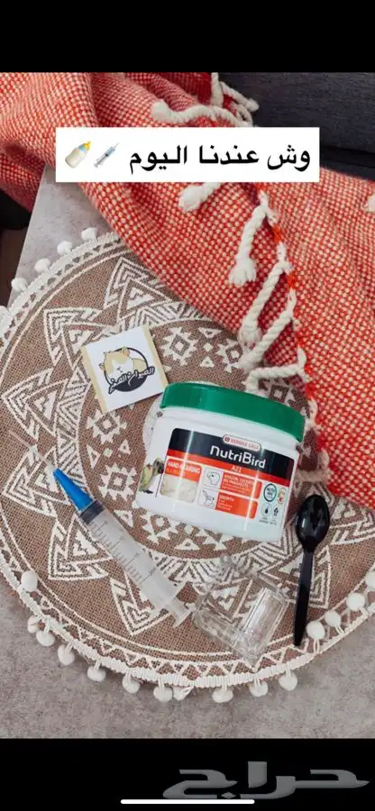 فروخ روز متوفر تمارا 4