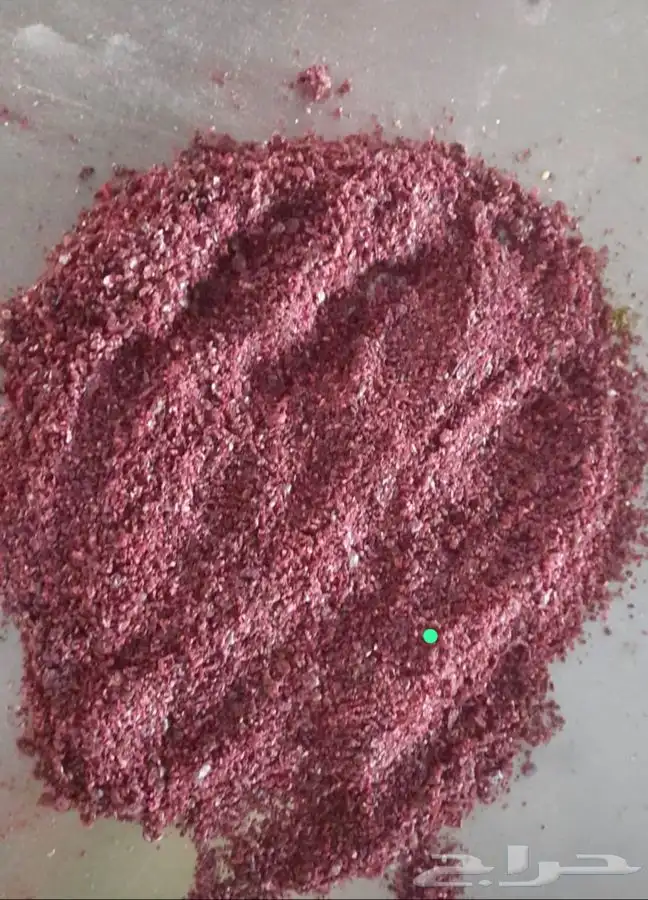 زيت زيتون فلسطيني عصرة السنة 8