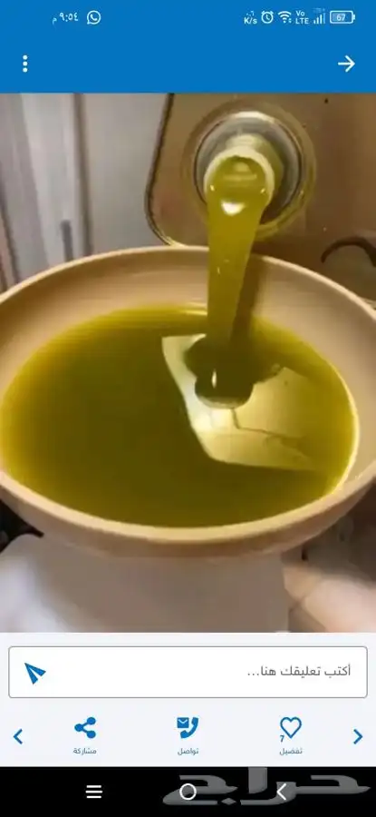 زيت فلسطيني بكر بعلي جبلي الموسم الجديد 0