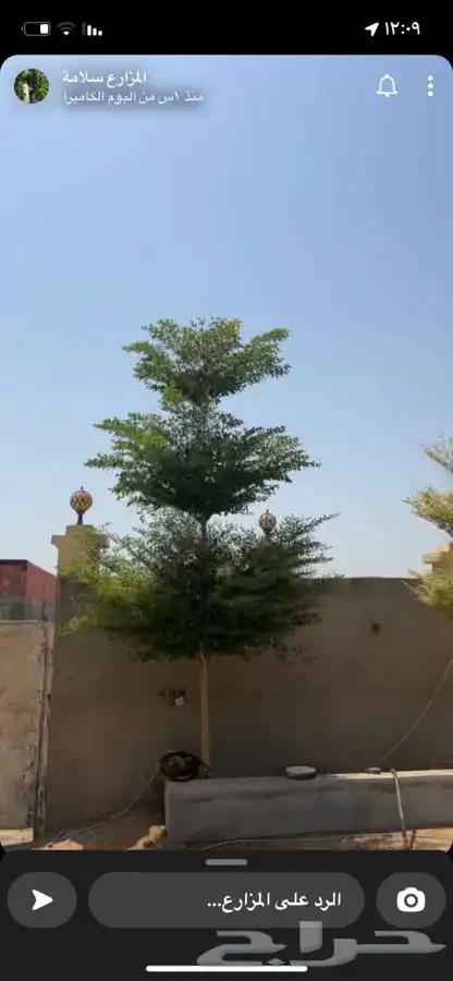 مشتل زراعي 18