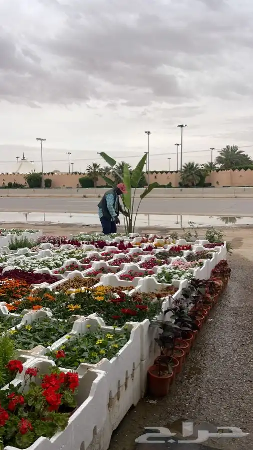 مشتل زراعي 3