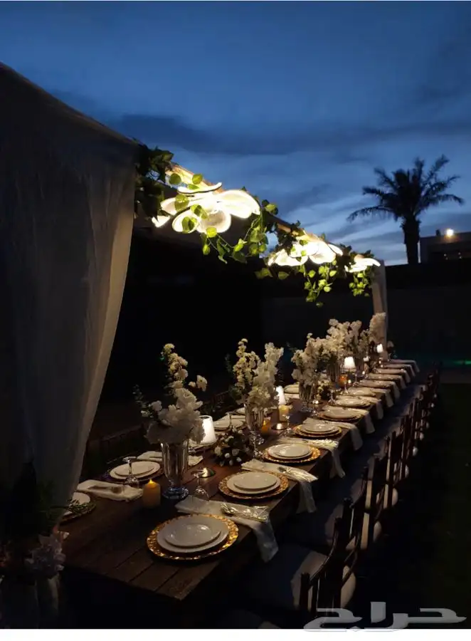 تنسيق حفلات 6