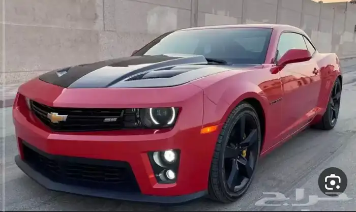 دبات تلوث كمارو 0