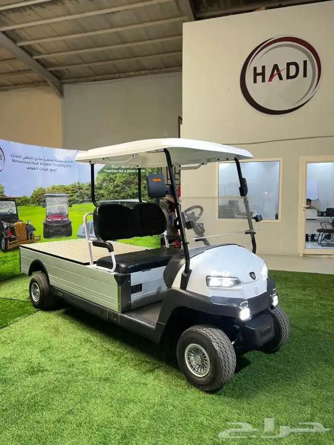 عربات كهربائية golf car 29