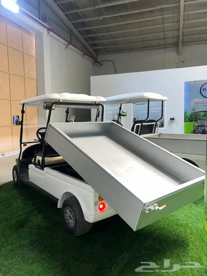 عربات كهربائية golf car 22