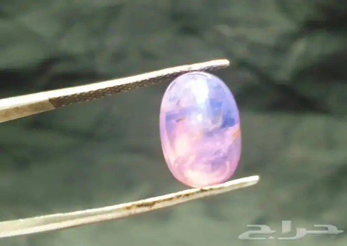 زفير بادبارادشا  نادر 0