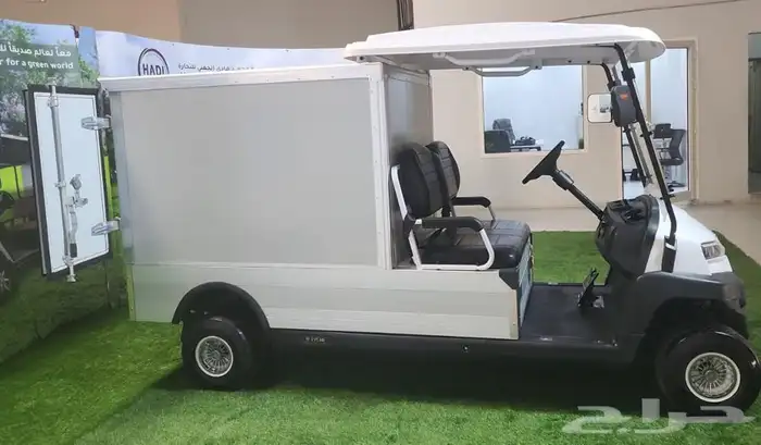 عربات كهربائية golf car 23