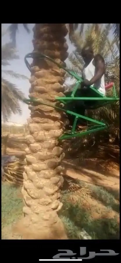كر حديدي يمكنك صعود او طلوع النخيل 0