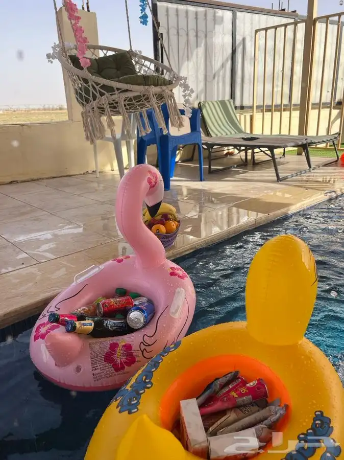 شاليه القريات الشمال الرديفه جماجم الناصفةمسابح وخيول مجانيه 23