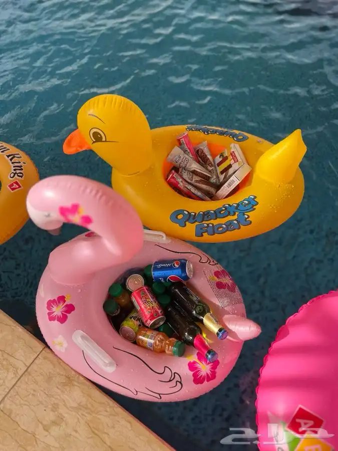 شاليه القريات الشمال الرديفه جماجم الناصفةمسابح وخيول مجانيه 22