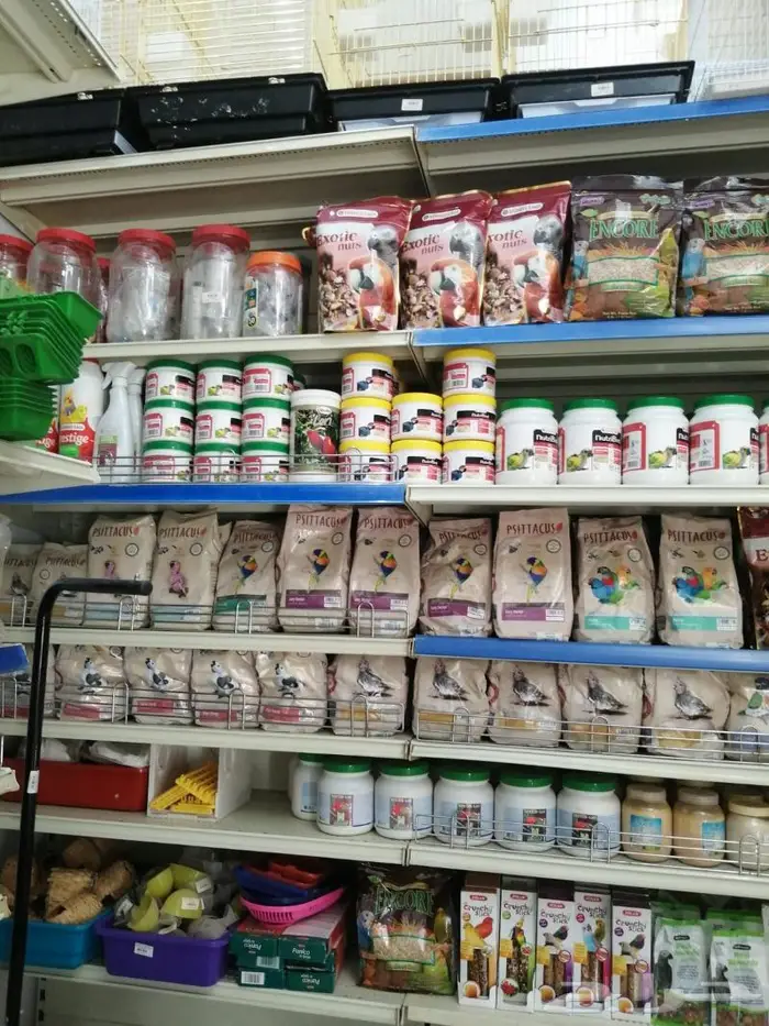 مستلزمات طيور محل نوادر 0