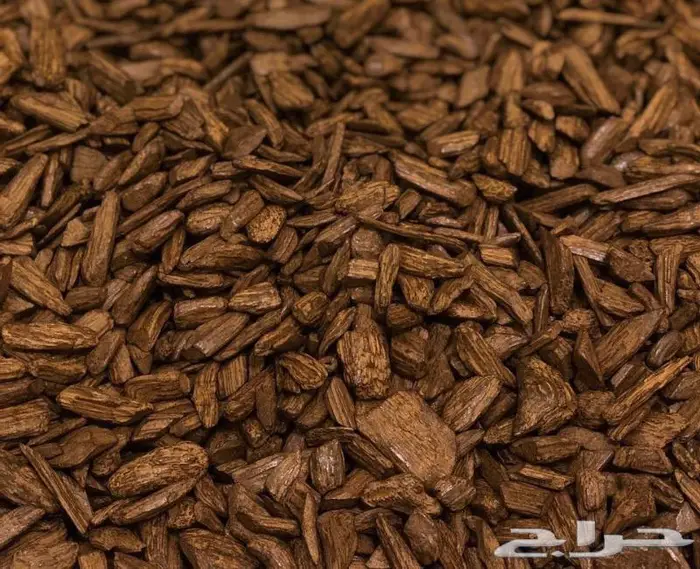 عود موروكي طبيعي دقة بسعر جملة الجملة 3