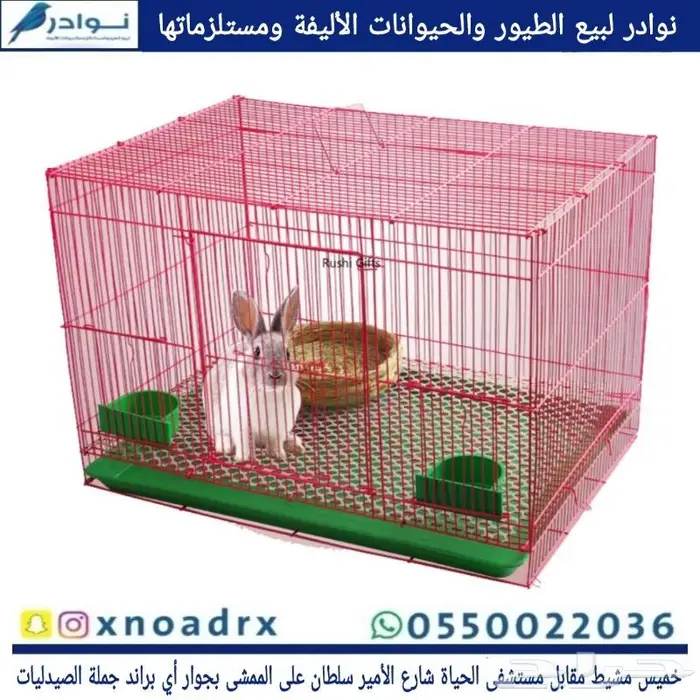 مستلزمات طيور محل نوادر 3
