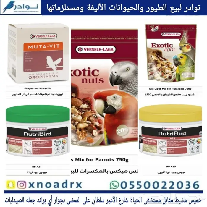 مستلزمات طيور محل نوادر 10