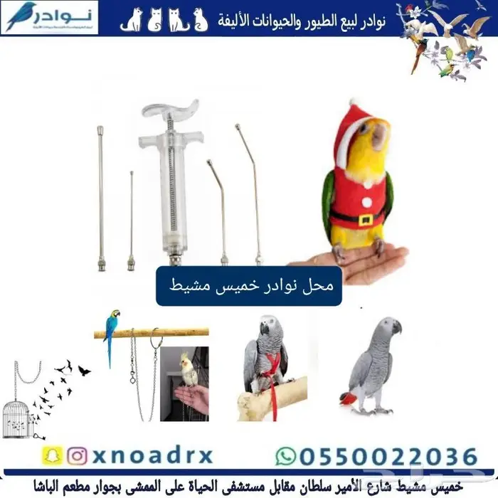 مستلزمات طيور محل نوادر 31