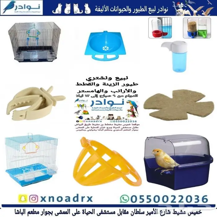 مستلزمات طيور محل نوادر 35