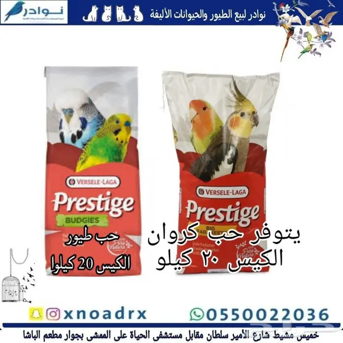مستلزمات طيور محل نوادر 42