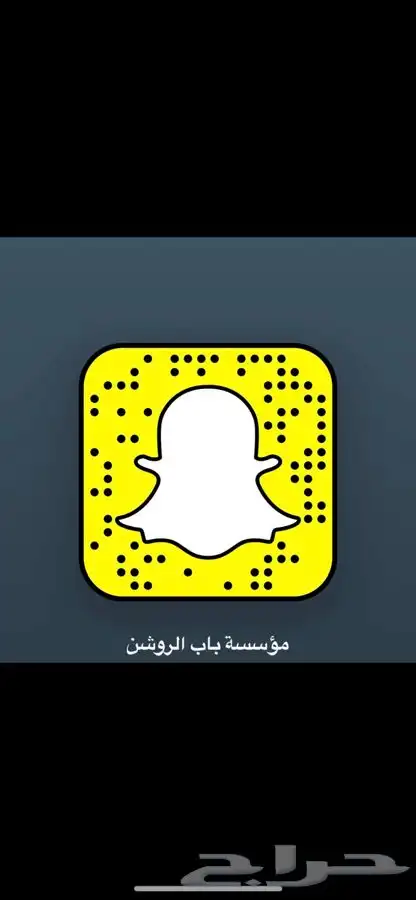 ابواب حديد وابواب كلادينج ودرابزينات ( باب الروشن ) 34