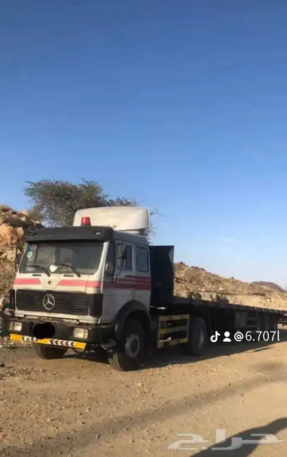 للبيع راس البي 81 13