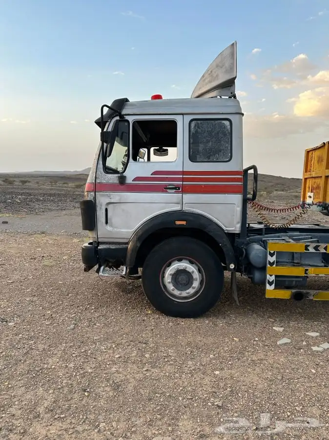 للبيع راس البي 81 1