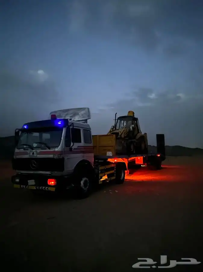 للبيع راس البي 81 2