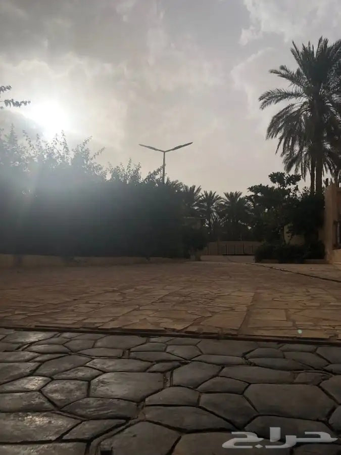 مزرعة و مسبح و العاب مائية للايجار اليومي في سدير 12