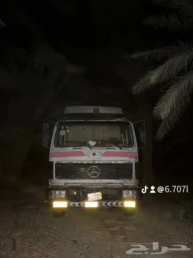 للبيع راس البي 81 4