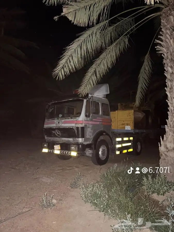 للبيع راس البي 81 3