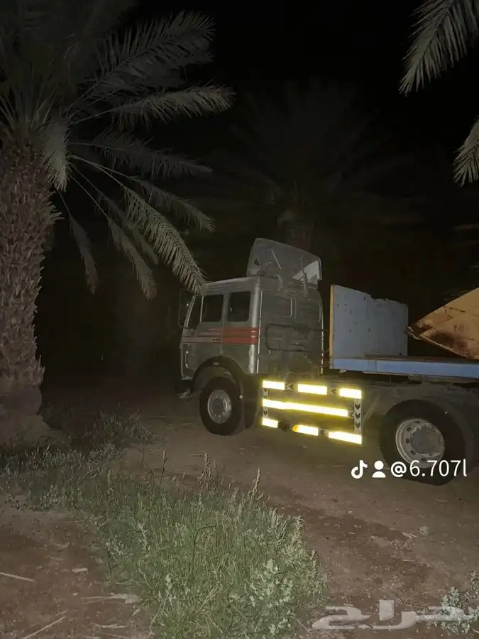 للبيع راس البي 81 6