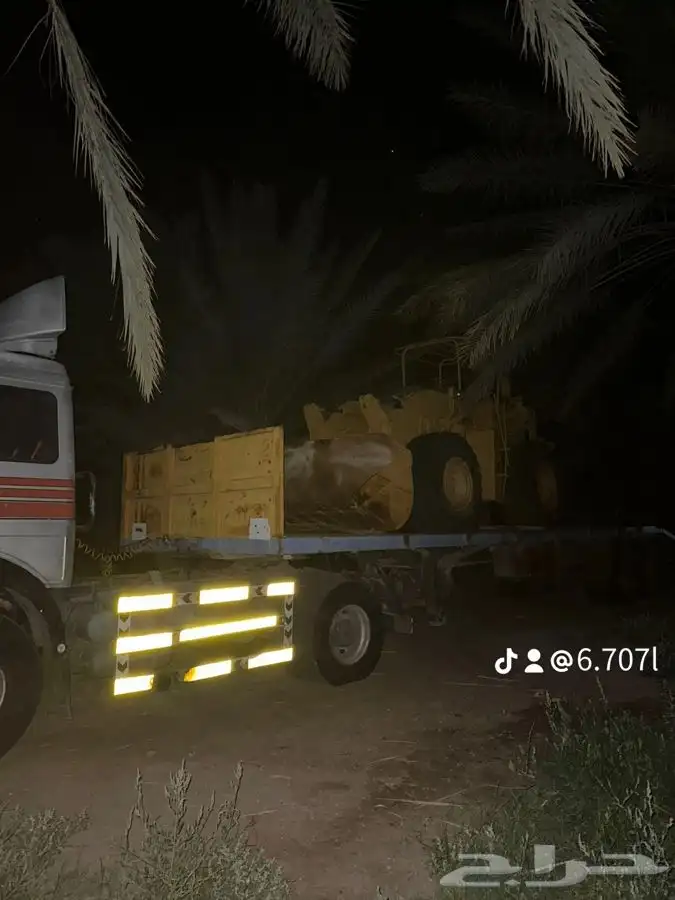 للبيع راس البي 81 8
