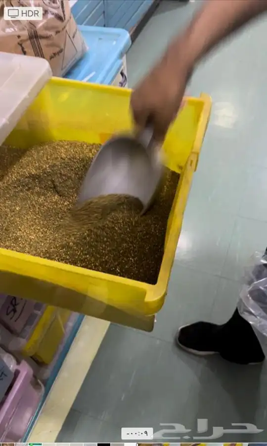 زيت زيتون فلسطيني القطفة الجديدة بكر عضوي بعلي 9