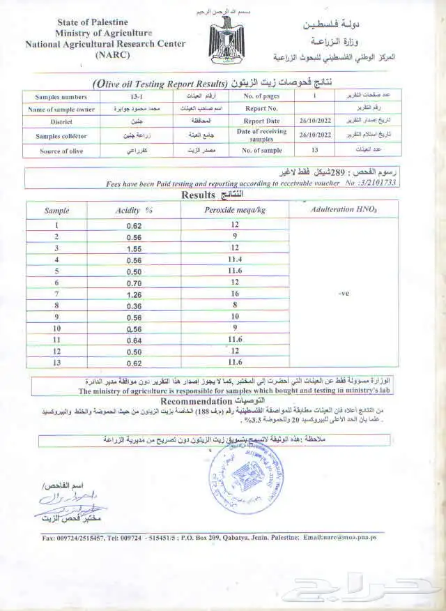 زيت زيتون فلسطيني القطفة الجديدة بكر عضوي بعلي 15