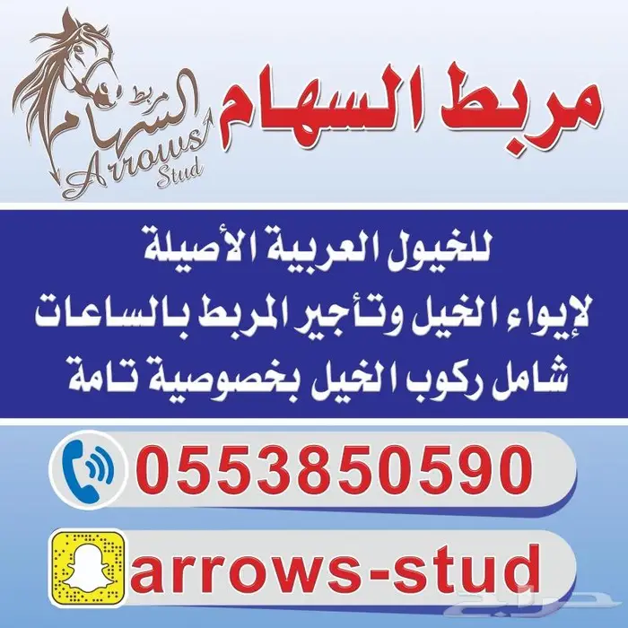مربط السهام للخيول العربية 0