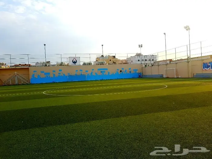 رسام جدران جيرافيتي 6