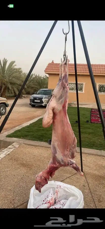 مشويات خارجية 0