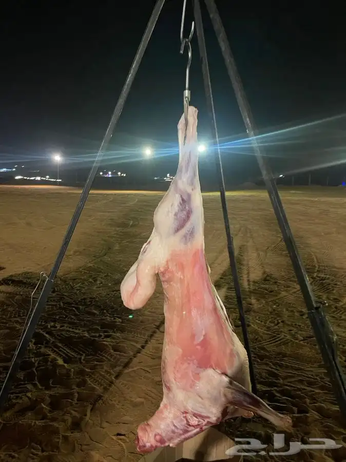 مشويات خارجية 7