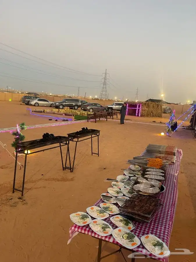 مشويات خارجية 6