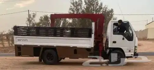 دينا ونش كرين مشاوير 0