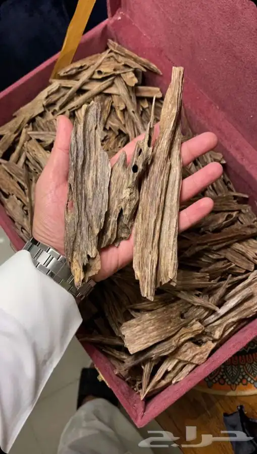 نوادر دهن العود و كسر العود الهندي الطبيعي 1