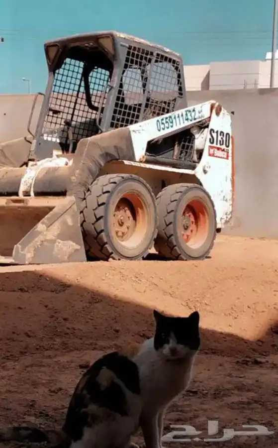 بوبكات للأيجار 0