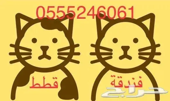 فندقة القطط والطيور - الرياض 6061 24 0555 حي المصيف 0